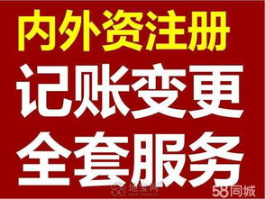 专业代理服务，助力企业轻松起航